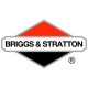 Двигатели Briggs-Stratton в Ухте